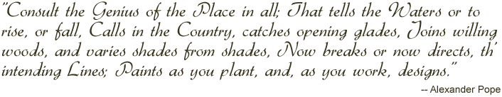 Alexander Pope Quote